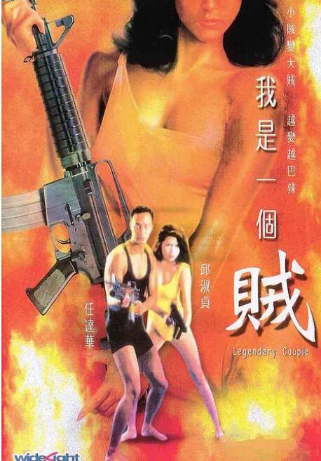 我是一个贼 