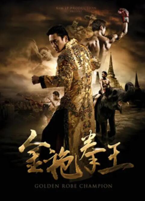 金袍拳王 