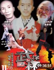 武林探秘 