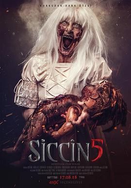 西辛5 
