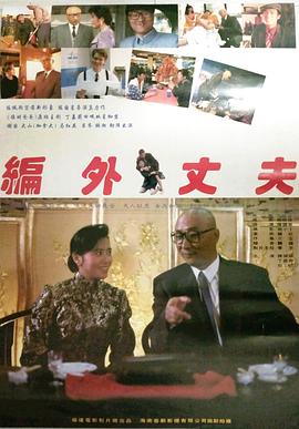 编外丈夫 