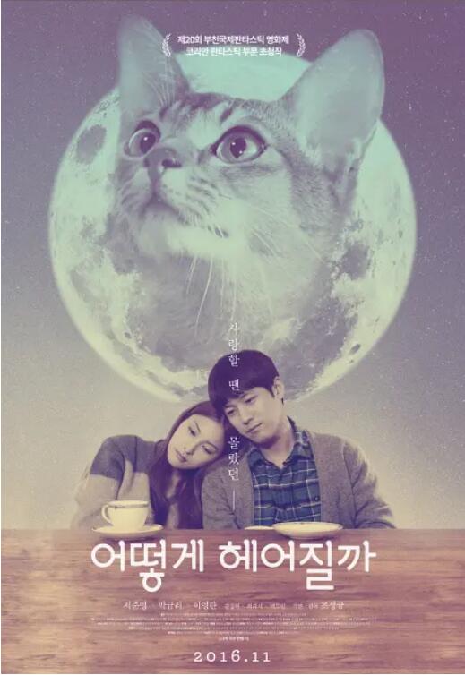 如何与我的猫分手 