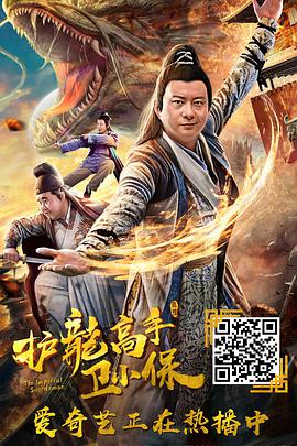 护龙高手卫小保 