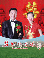第九个女婿 