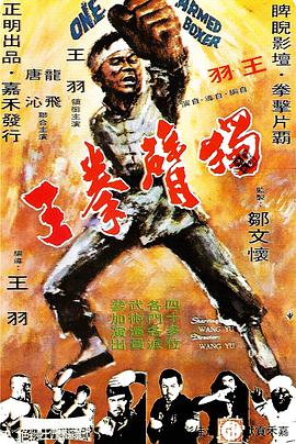 独臂拳王,獨臂拳王 
