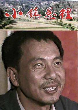 小镇总理 