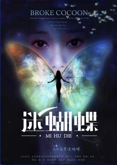 迷蝴蝶 