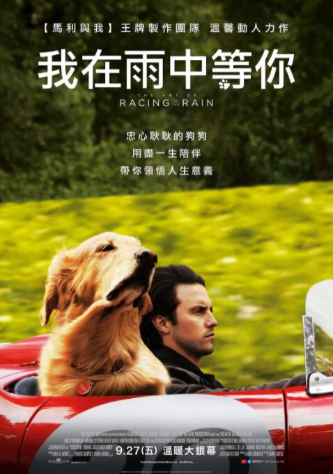 我在雨中等你 
