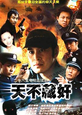 天不藏奸 
