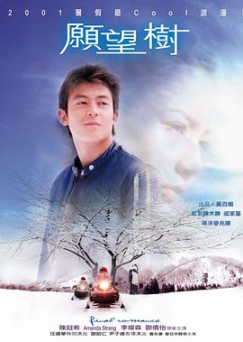 愿望树 