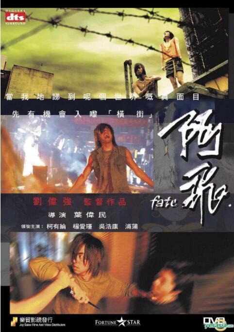 阿飞 