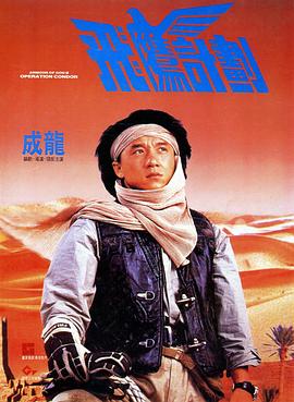 飞鹰计划 