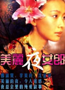 美丽夜女郎 
