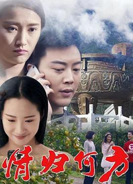 情归何方 