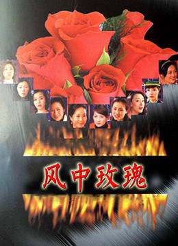 风中玫瑰 