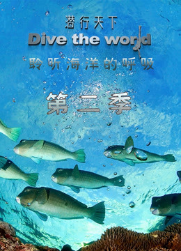 潜行天下,第二季 