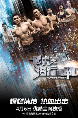 飞虎之潜行极战 