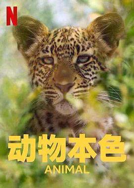 动物本色,第二季 