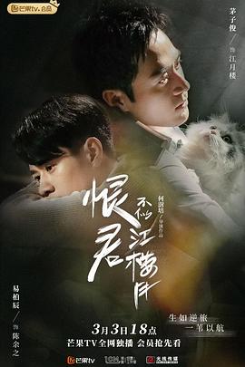 恨君不似江楼月 