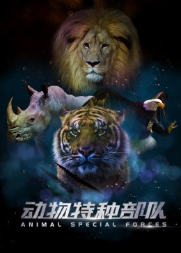 动物特种部队,第二季