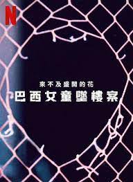 来不及盛开的花,巴西女童坠楼案 