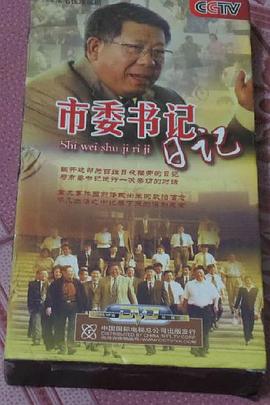市委书记日记 