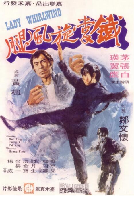 铁掌旋风腿 