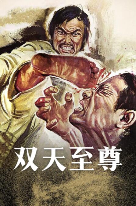 双天至尊 