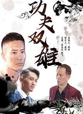 功夫双雄 