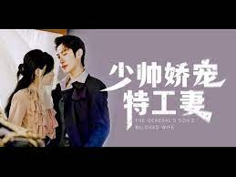 少帅娇宠特工妻 