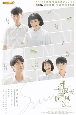 那年夏天有风吹过 