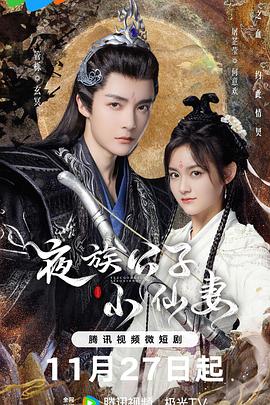 夜族公子小仙妻 