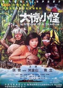 大惊小怪,2000 
