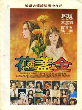 金盏花 