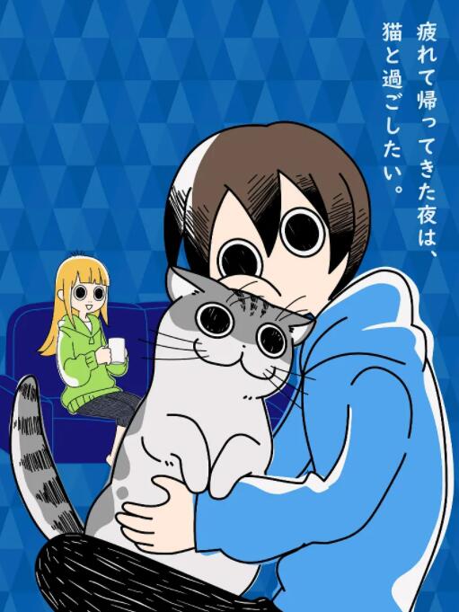 关于养猫我一直是新手 