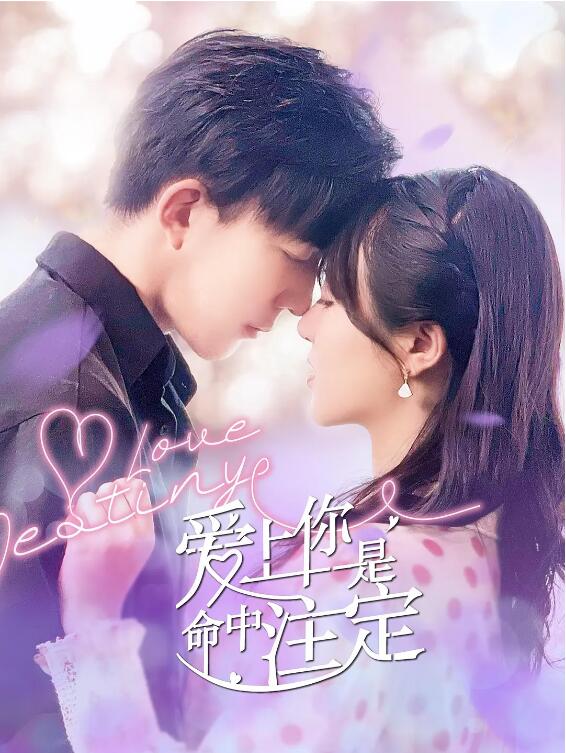 爱上你是命中注定 