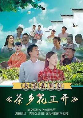 茶乡花正开 