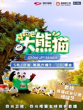 成长吧大熊猫 