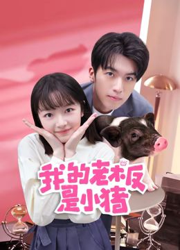 我的老板是小猪 