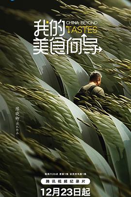 我的美食向导 