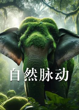 自然脉动 