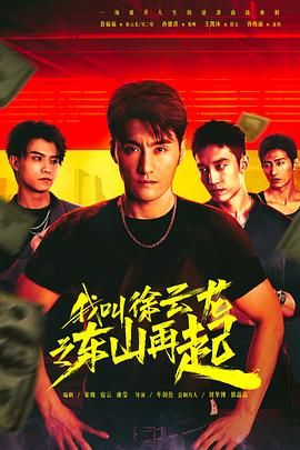 我叫徐云龙之东山再起 