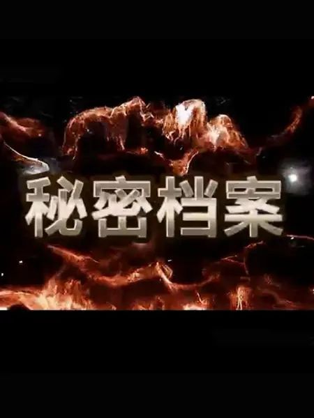 秘密档案 