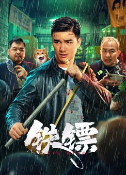 铁镖 