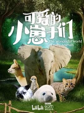 可爱的小崽子们,中文版 