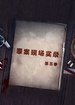 罪案现场实录第五季 