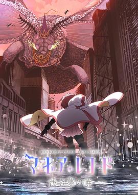 魔法纪录,魔法少女小圆外传 
