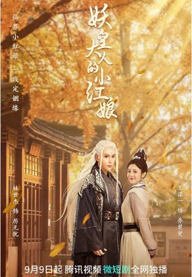妖皇大人的小红娘 