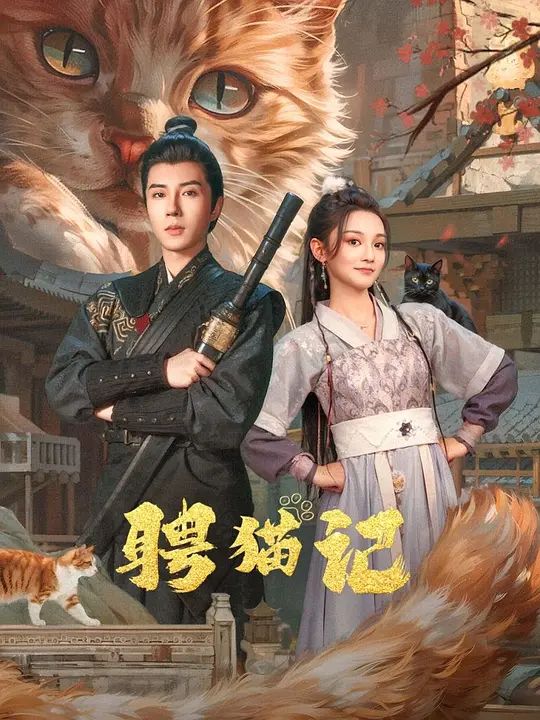 聘猫记 
