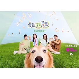 宠他,还是爱我, 